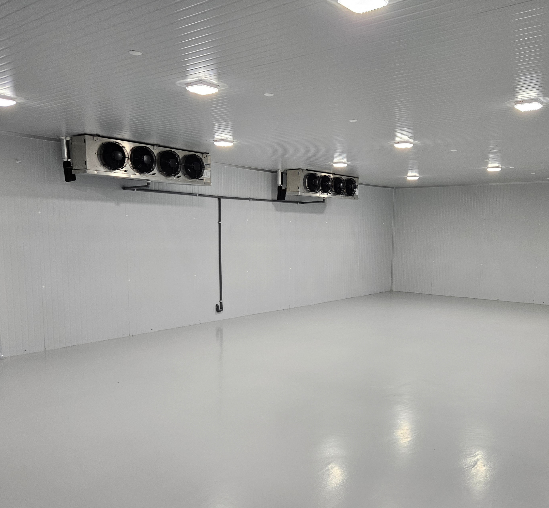 COLD ROOM (2)